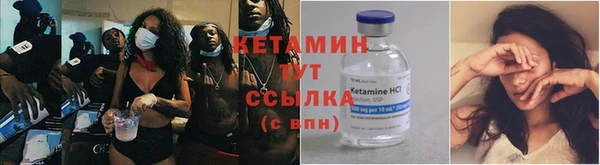спиды Елизово