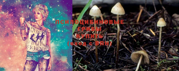 прущая мука Елабуга