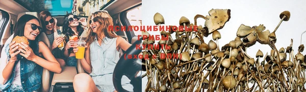 прущая мука Елабуга