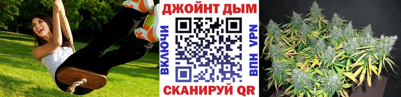 Каннабис тримм  купить наркоту  маркетплейс какой сайт  Ефремов 